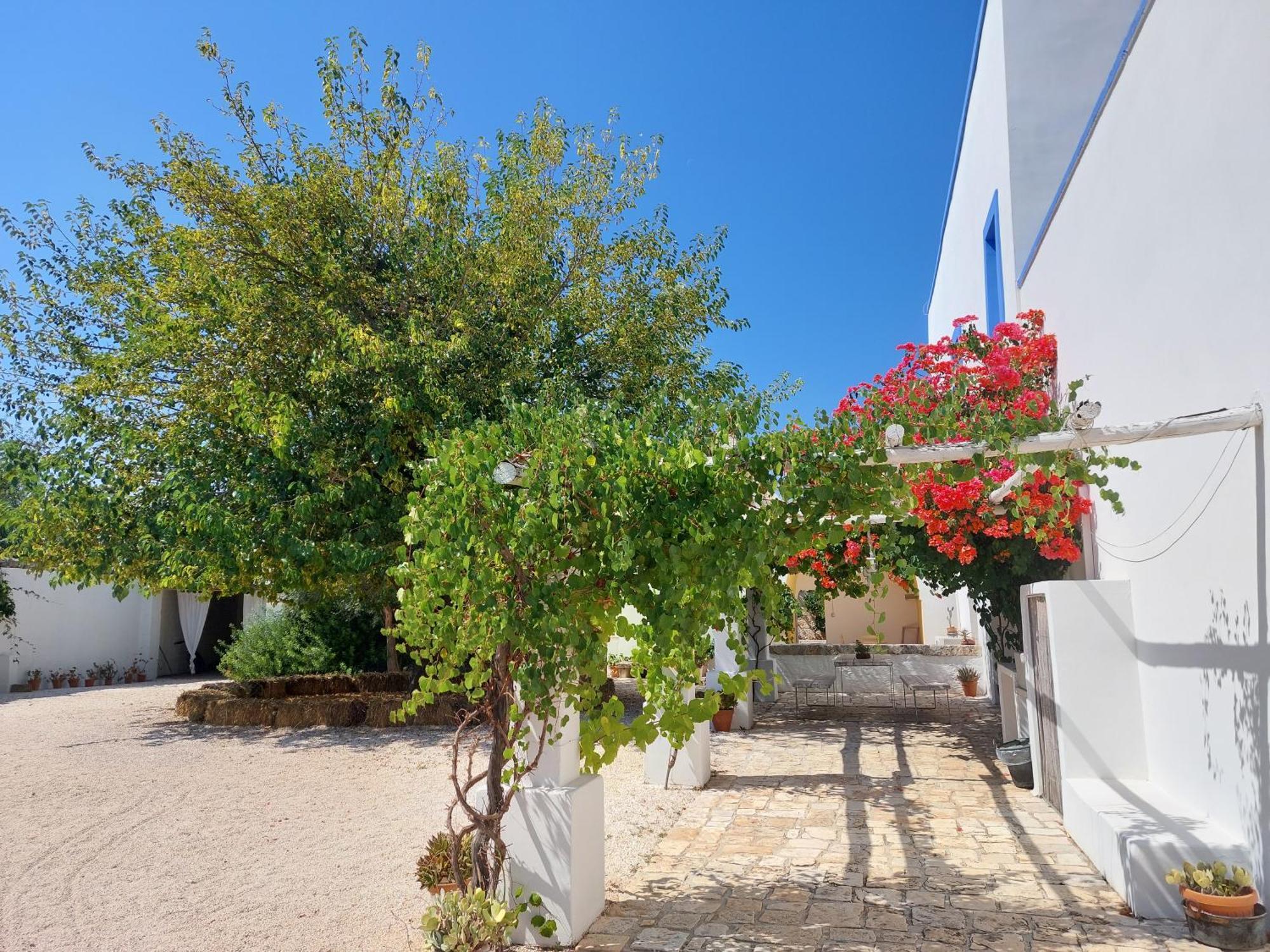 Masseria San Martino Polignano a Mare Exteriör bild